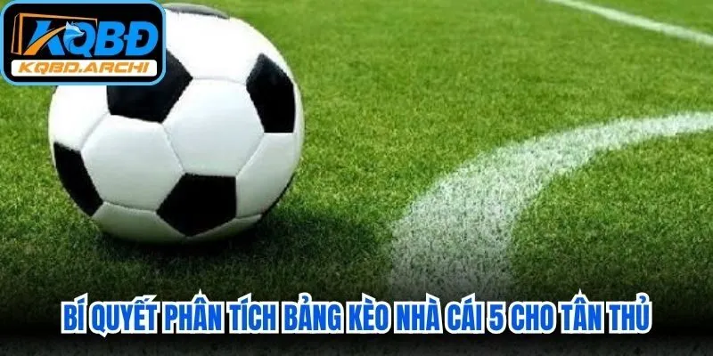 Bí quyết phân tích bảng kèo nhà cái 5 cho tân thủ áp dụng